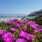 Kosec Baška
