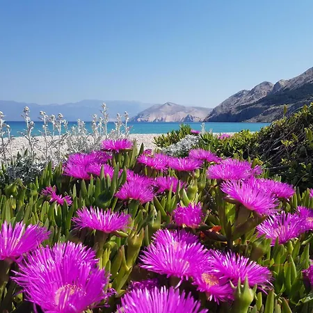 Kosec Baška